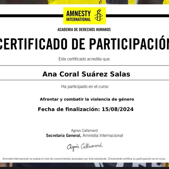Ampliar imagen: certificate 17