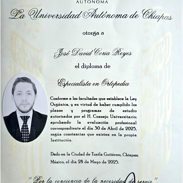 Ampliar imagen: certificate 5