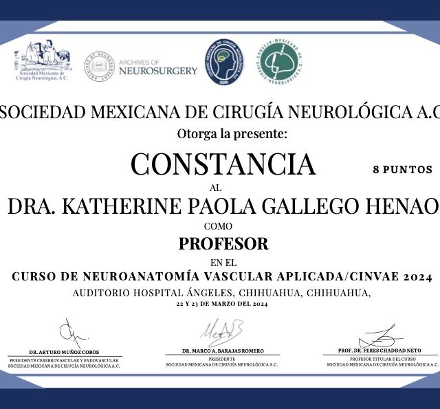 Ampliar imagen: certificate 5