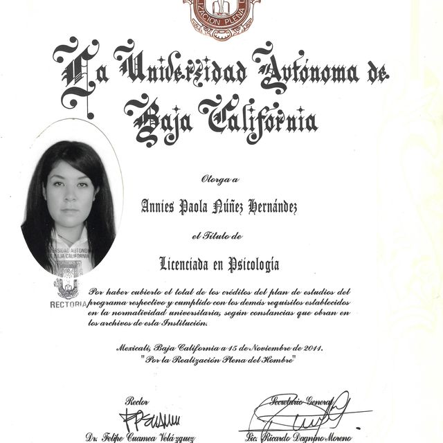 Ampliar imagen: certificate 2