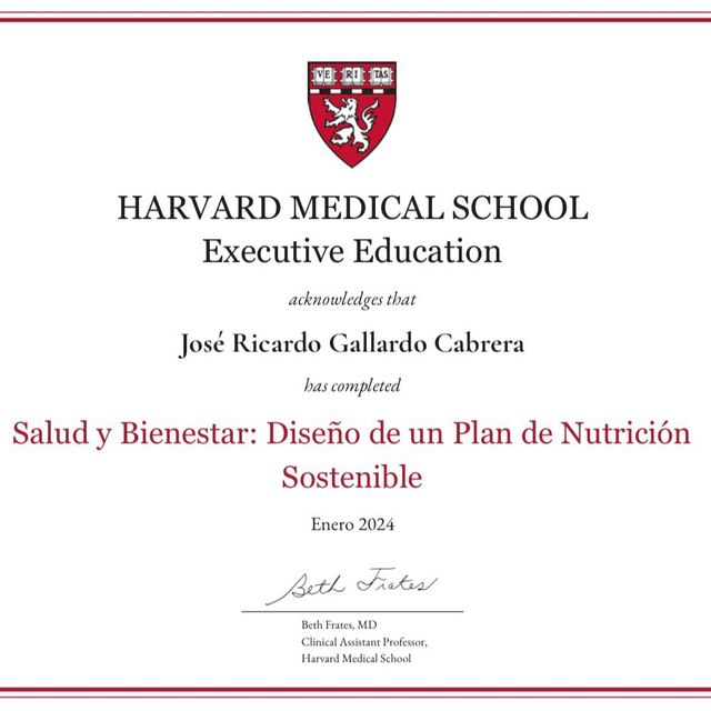 Ampliar imagen: certificate 4