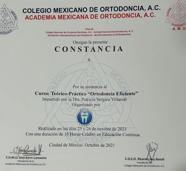 Ampliar imagen: certificate 11