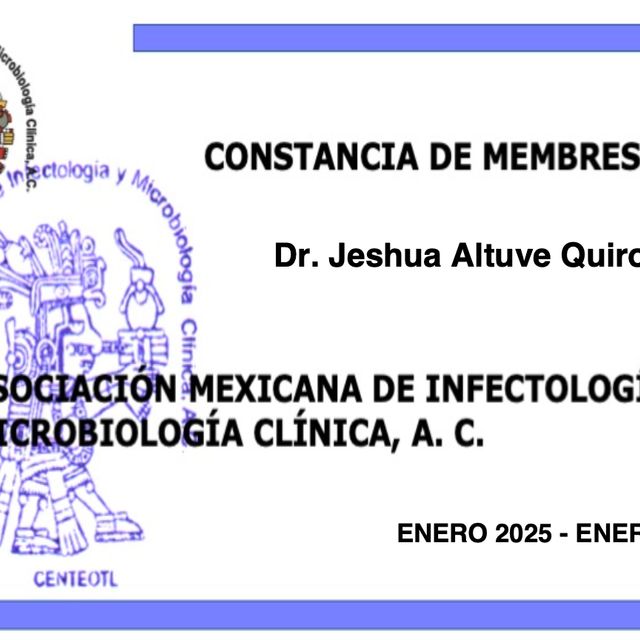 Ampliar imagen: certificate 5