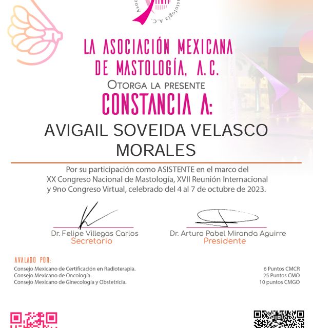 Ampliar imagen: certificate 7