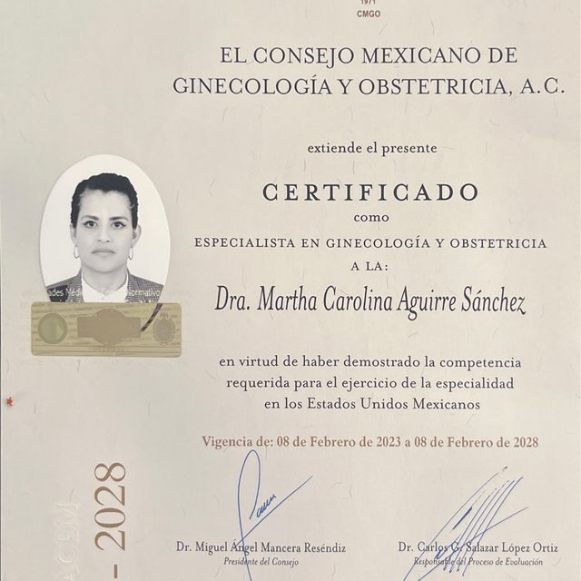 Ampliar imagen: certificate 6