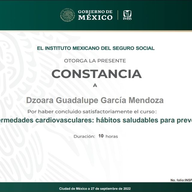 Ampliar imagen: certificate 5