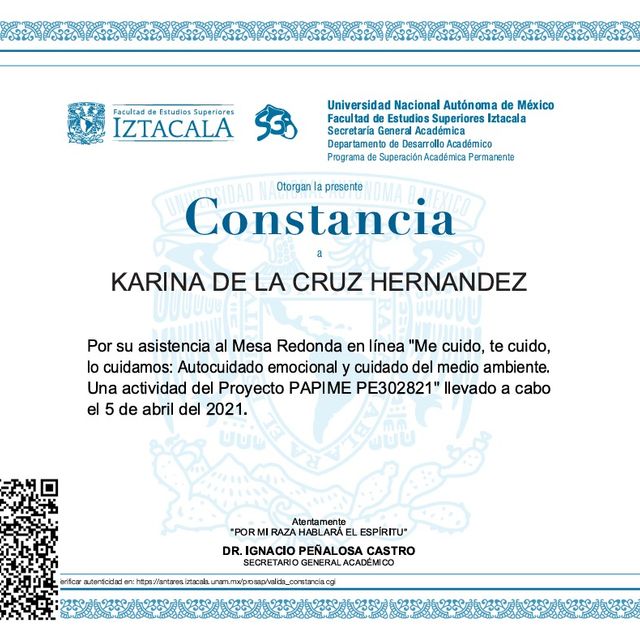Ampliar imagen: certificate 7