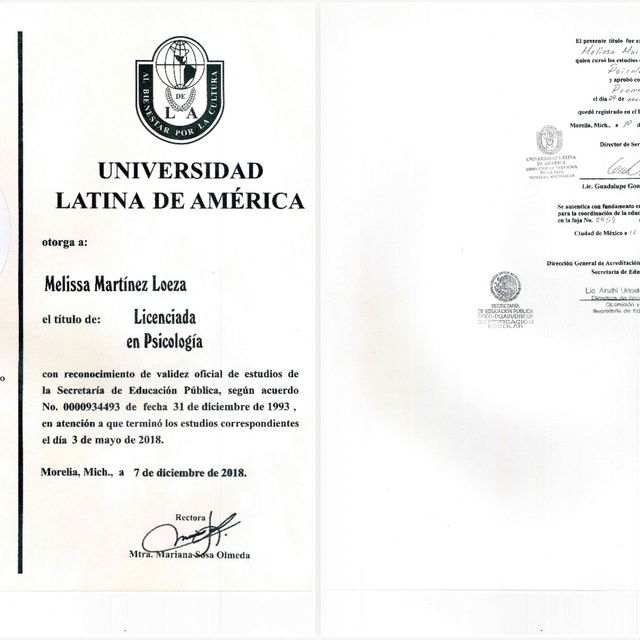 Ampliar imagen: certificate 5