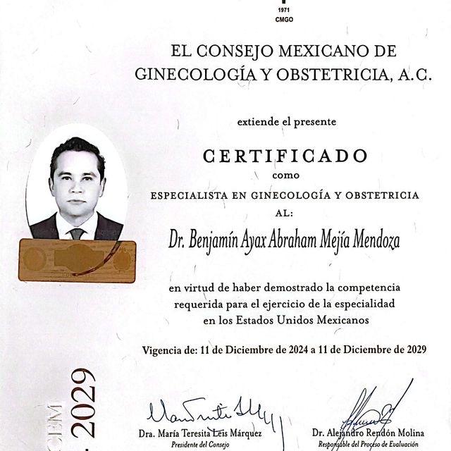 Ampliar imagen: certificate 1