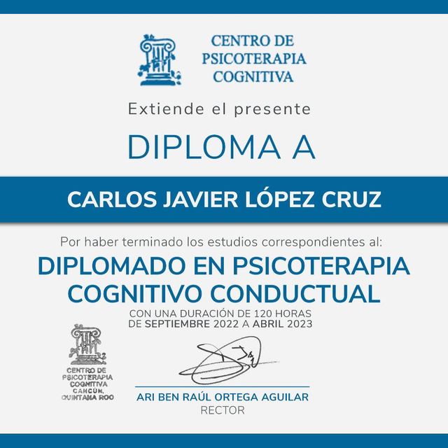 Ampliar imagen: certificate 3