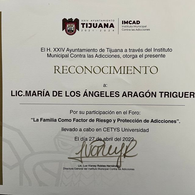 Ampliar imagen: certificate 11