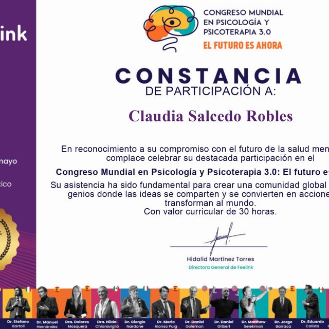 Ampliar imagen: certificate 1