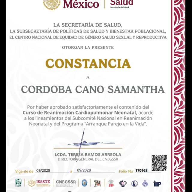 Ampliar imagen: certificate 3