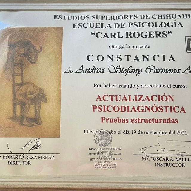 Ampliar imagen: certificate 6