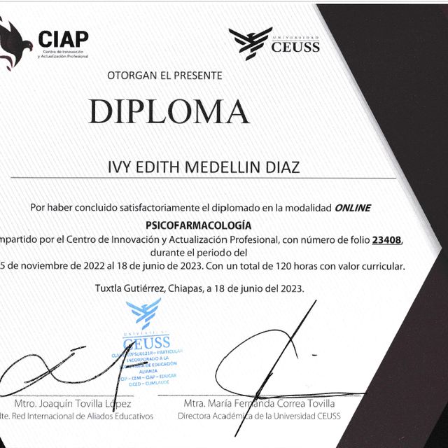 Ampliar imagen: certificate 1