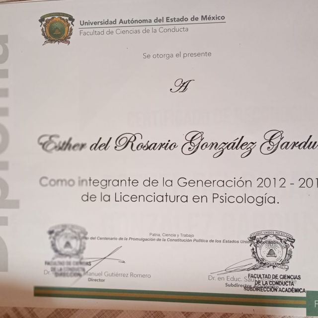 Ampliar imagen: certificate 2