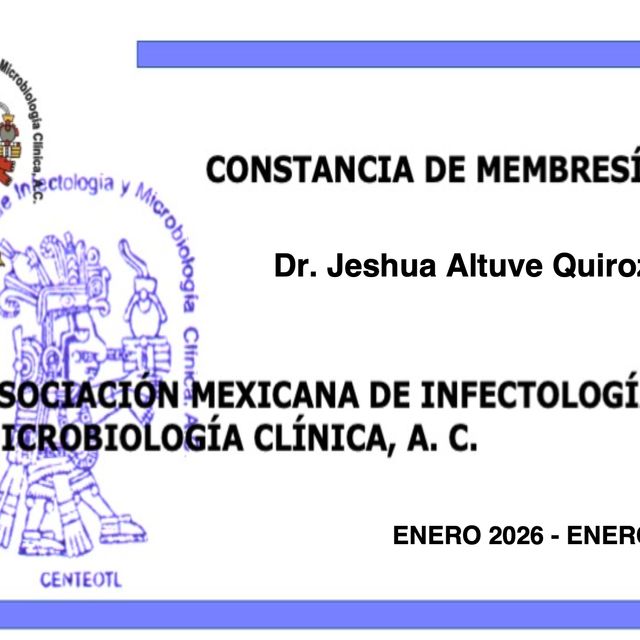 Ampliar imagen: certificate 4