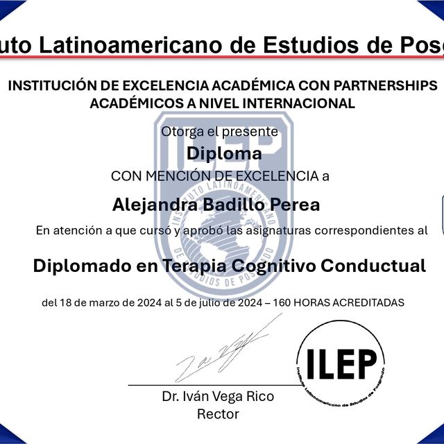 Ampliar imagen: certificate 3