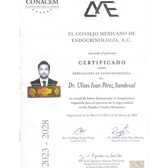 Ampliar imagen: certificate 1