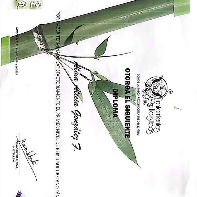 Ampliar imagen: certificate 41