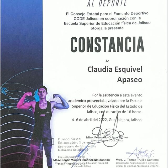 Ampliar imagen: certificate 3