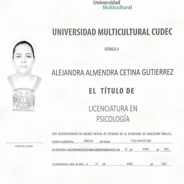 Ampliar imagen: certificate 1