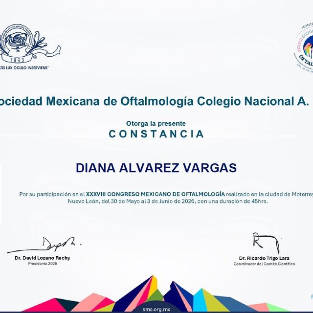 Ampliar imagen: certificate 3