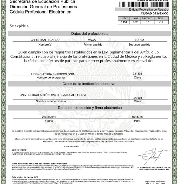 Ampliar imagen: certificate 3