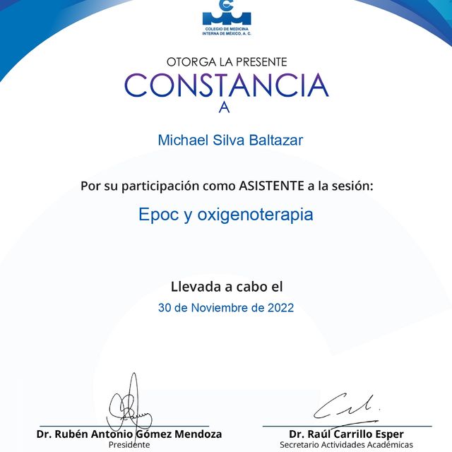 Ampliar imagen: certificate 17