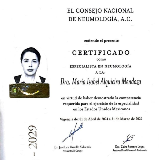 Ampliar imagen: certificate 2