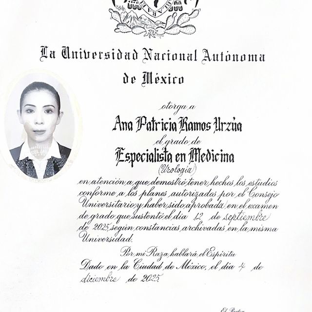Ampliar imagen: certificate 1