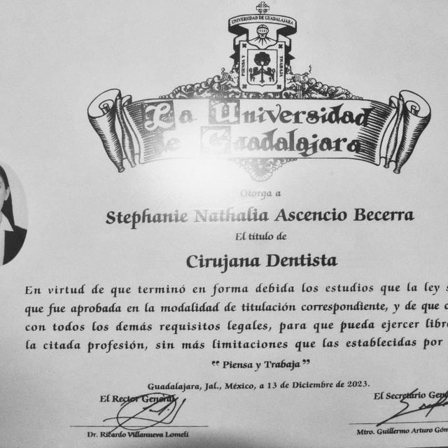 Ampliar imagen: certificate 2