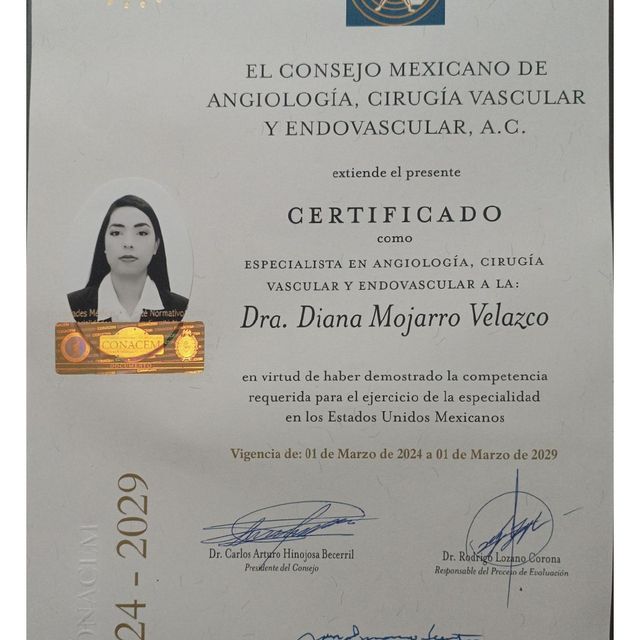 Ampliar imagen: certificate 7
