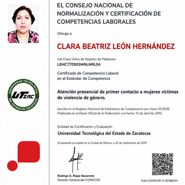 Ampliar imagen: certificate 12