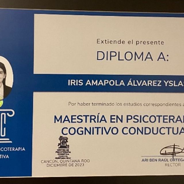 Ampliar imagen: certificate 1