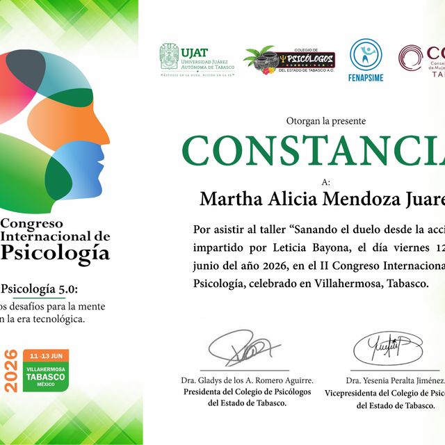 Ampliar imagen: certificate 4