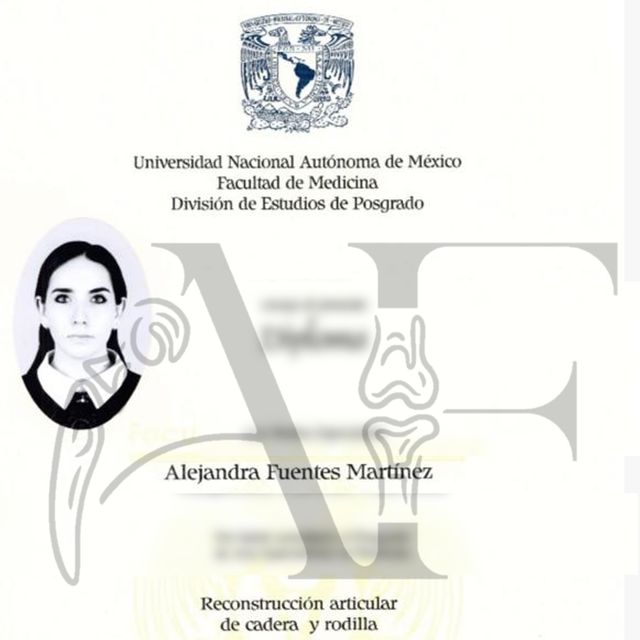 Ampliar imagen: certificate 3