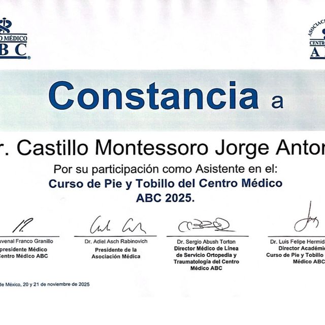 Ampliar imagen: certificate 1