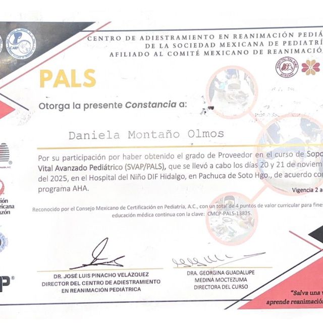 Ampliar imagen: certificate 2