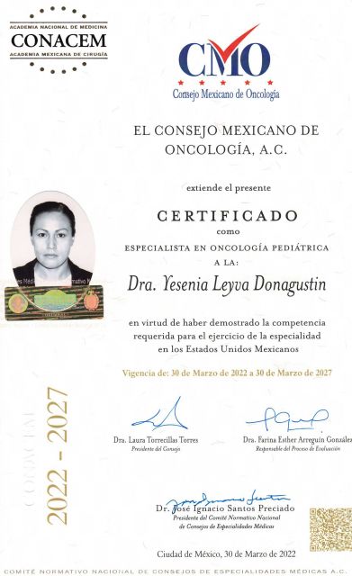 Ampliar imagen: certificate 5