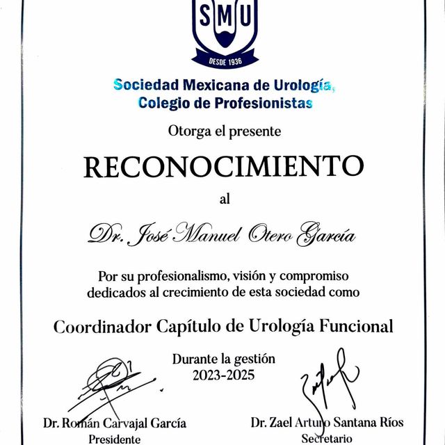 Ampliar imagen: certificate 11