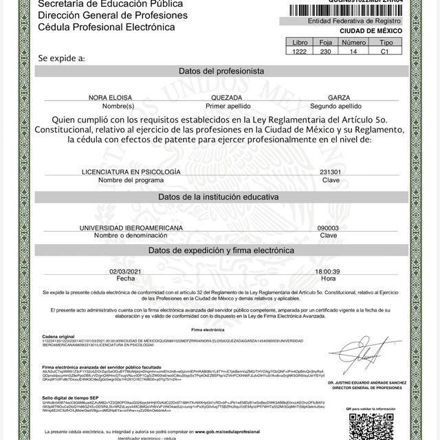 Ampliar imagen: certificate 3