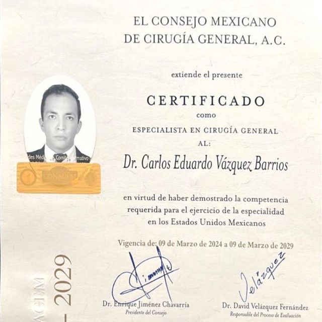 Ampliar imagen: certificate 1