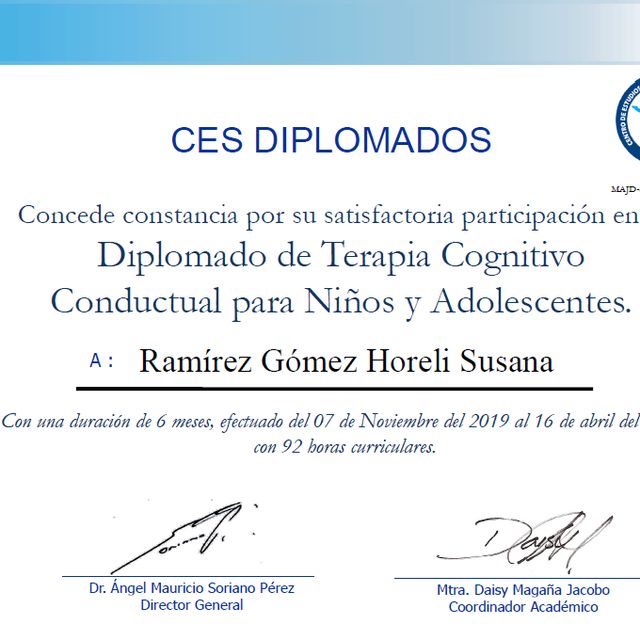 Ampliar imagen: certificate 2