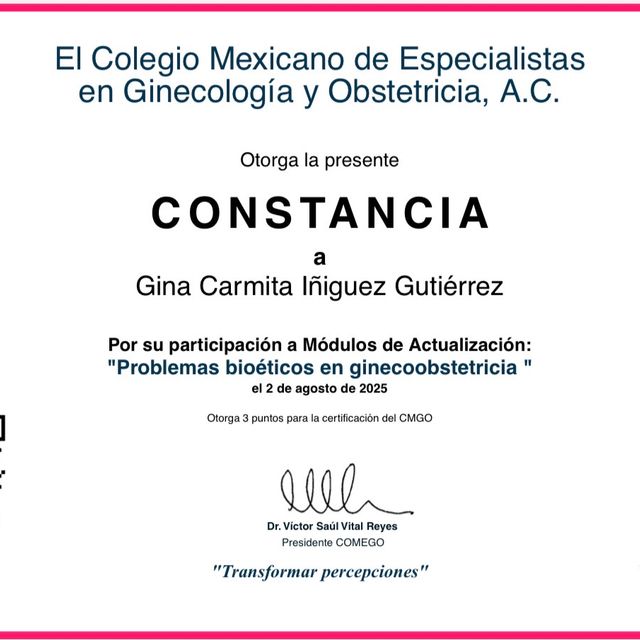 Ampliar imagen: certificate 3