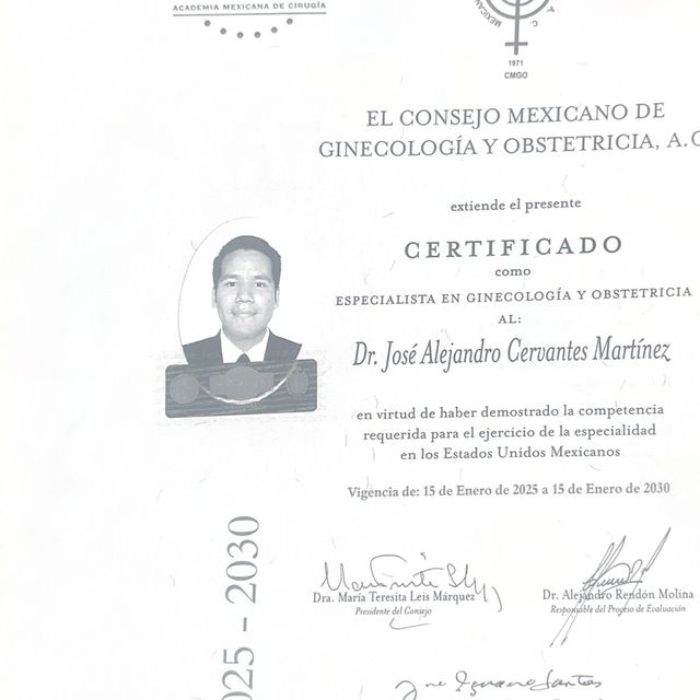 Ampliar imagen: certificate 2
