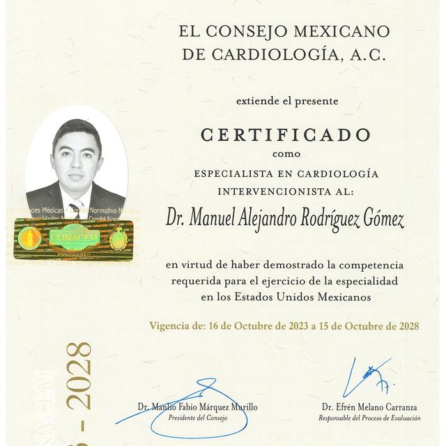 Ampliar imagen: certificate 4
