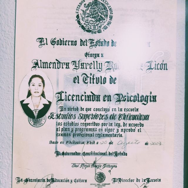 Ampliar imagen: certificate 1