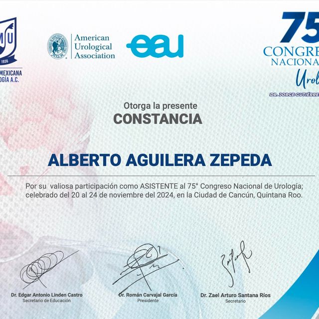 Ampliar imagen: certificate 5