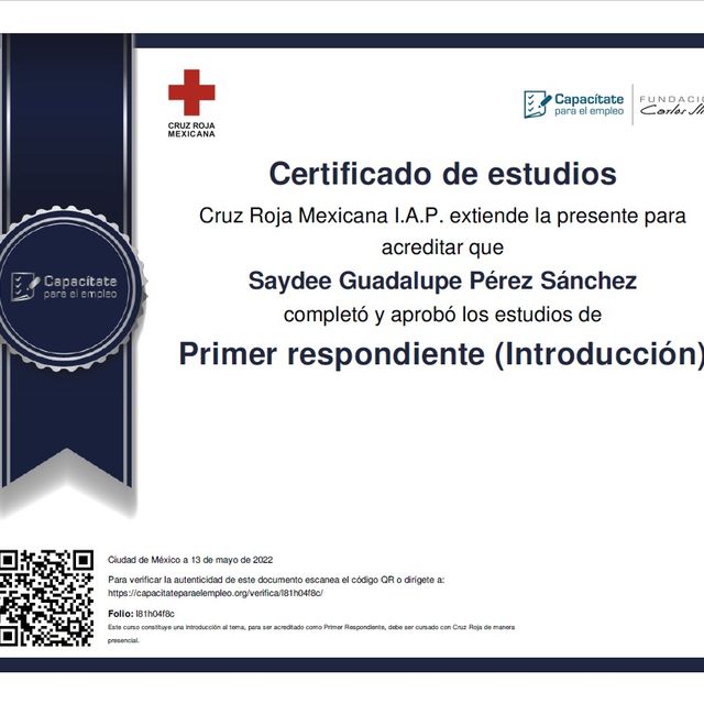 Ampliar imagen: certificate 4